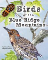 Birds of the Blue Ridge Mountains brochure