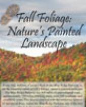 Fall Foliage: Nature's Painted Landscape Brochure