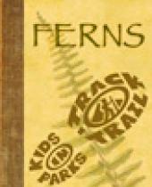 Ferns - A Sketchbook Guide brochure