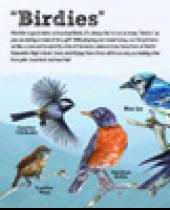 Enka: Birdies Scorecard brochure
