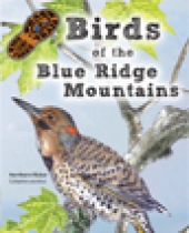 Birds of the Blue Ridge Mountains brochure