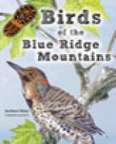 Birds of the Blue Ridge Mountains brochure