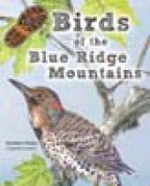 Birds of the Blue Ridge Mountains brochure