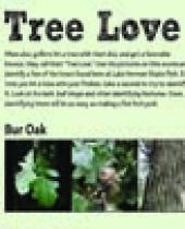 "Tree Love" scorecard