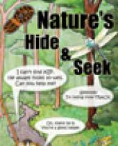Nature's Hide and Seek brochure