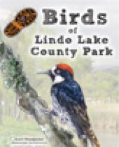 Birds of Lindo Lake County Park brochure