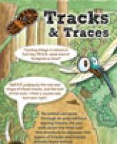 Tracks and Traces brochure