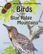 Mount Airy's Ararat River: Birds of the Blue Ridge brochure