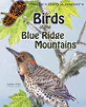 Pisgah National Forest: Birds of the Blue Ridge brochure