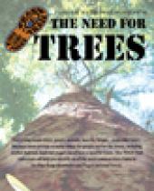 Pisgah National Forest: The Need For Trees brochure