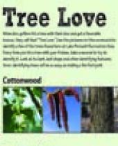 "Tree Love" scorecard