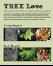 "Tree love" scorecard