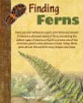 W Kerr Scott Reservoir: Finding Ferns brochure