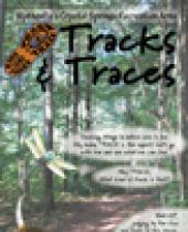 Town of Wytheville's Crystal Springs: Tracks & Traces brochure