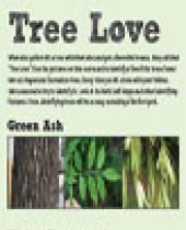 Angostura Tree Scorecard brochure