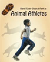 New River: Animal Athletes - Critter Cardio for Kids brochure
