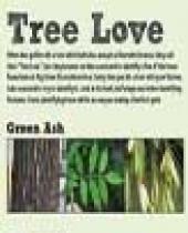 Big Sioux Trees Scorecard brochure