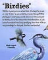 "Birdies" scorecard