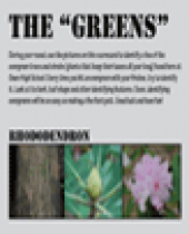 Owen High Disc Golf: The "Greens" Scorecard