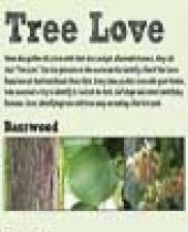Hartford Beach Trees Scorecard brochure