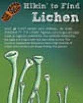 Hikin' to find Lichen brochure