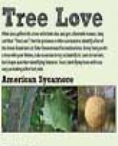 Oahe Downstream Tree Scorecard brochure