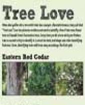 Randall Creek Tree Scorecard brochure