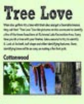 "Tree Love" scorecard