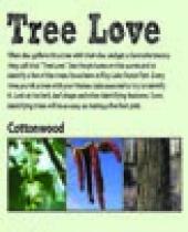 "Tree Love" scorecard