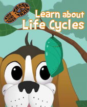 2nd Grade Haw Creek Bugs brochure thumbnail