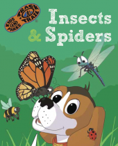 Kindergarten Haw Creek Bugs brochure thumbnail