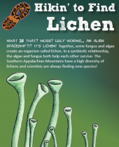 Hikin' to Find Lichen brochure