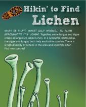 Hikin' to Find Lichen brochure