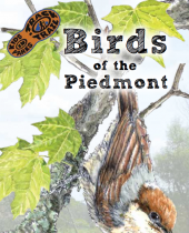 Birds of the Piedmont brochure thumbnail