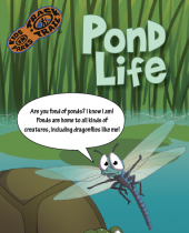 Pond Life brochure