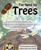 The Need for Trees brochure