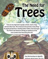 Need for Trees brochure