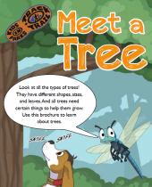 1st Grade Haw Creek Trees brochure thumbnail