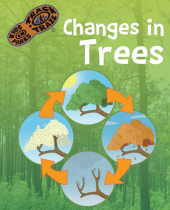 4th Grade Haw Creek Trees brochure thumbnail