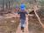 Trail Tracker, Atlas, walking along a log over a creek.