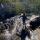 Trail Tracker, Atlas, wading in a shallow creek.