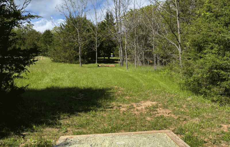 Thistle Ridge tee pad