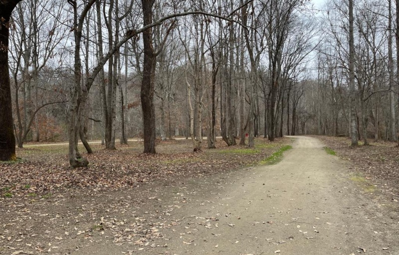 View of Rivers Edge TRACK Trail