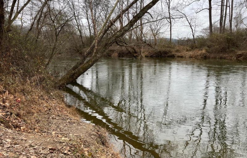 View of Yadkin River