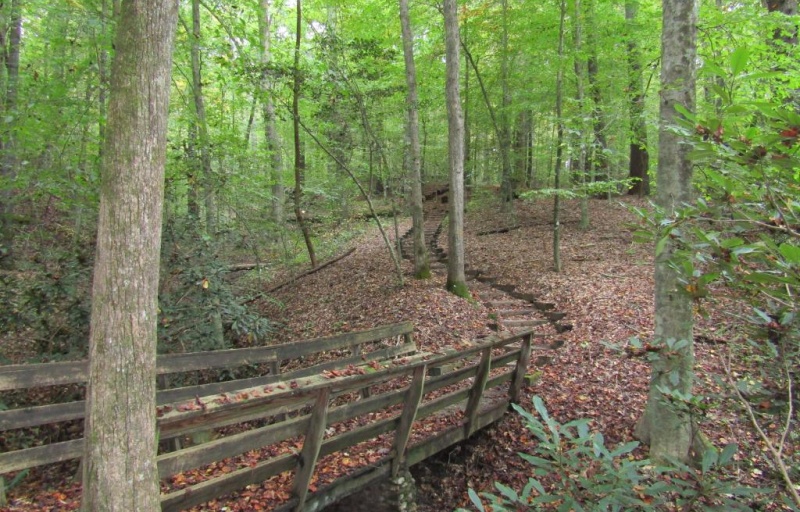  Talking Tree Trail at Tuttle State Educational Forest