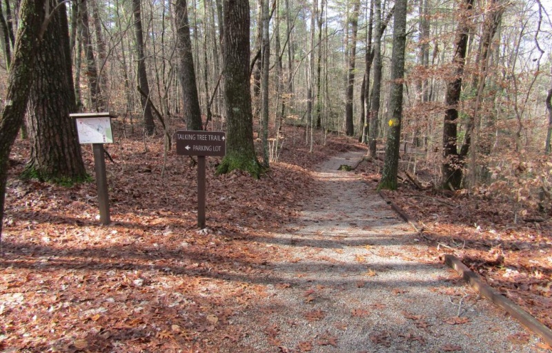  Talking Tree Trail at Tuttle State Educational Forest