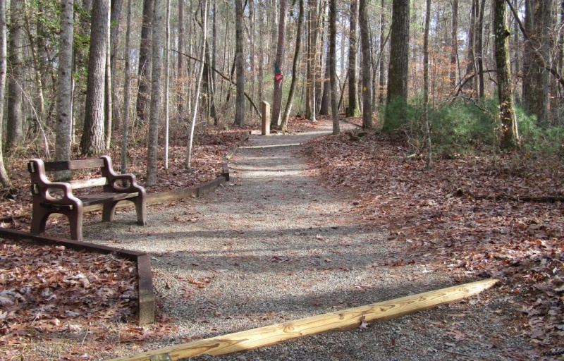  Talking Tree Trail at Tuttle State Educational Forest