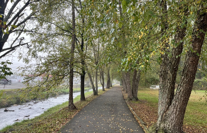 Photo of creek and walking path alongside