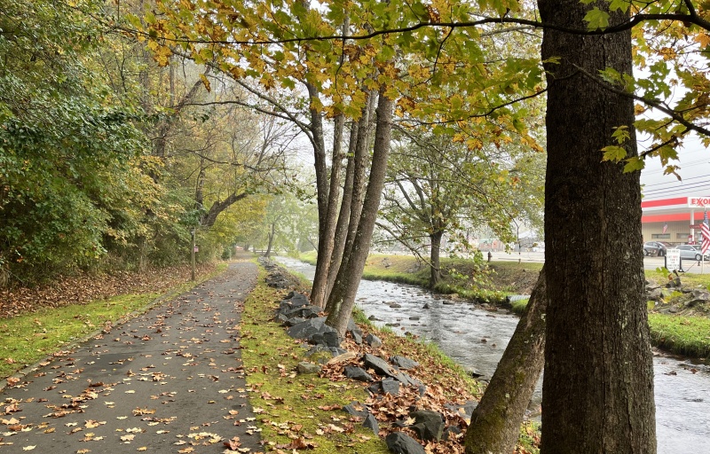 Creek walk