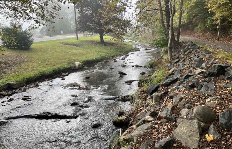 Creek in the fall